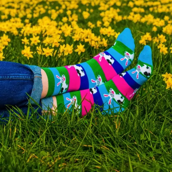 Ponožky FANKY ,RABBIT, pánske, dámske, zn.MORE