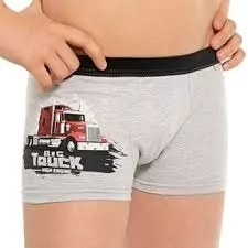 TRENKY BOXERKY CORNETTE, spodné prádlo chlapčenské TRUCK KAMIÓN č.86-164