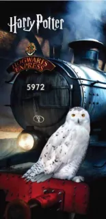 Osuška kvalitná Harry Potter bavlna
