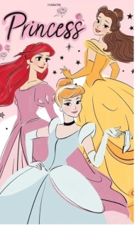 Uterák do škôlky alebo ku babičke, DISNEY PRINCEZNÉ RUŽOVÝ